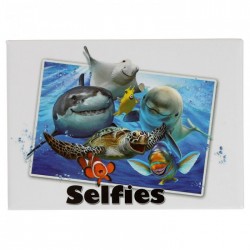Magnet Selfie Animaux Marins