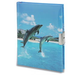 Journal Intime Dauphin 2
