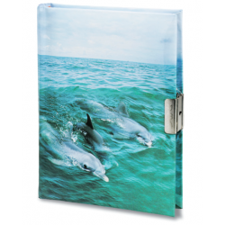 Journal Intime Dauphin 3