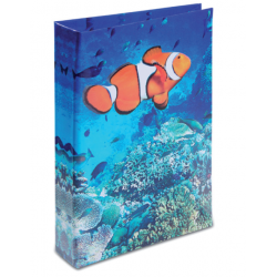 Répertoire Poisson Clown 1