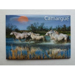 Magnet Camargue 01