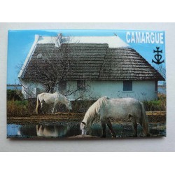 Magnet Camargue 03