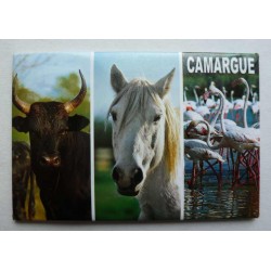 Magnet Camargue 08