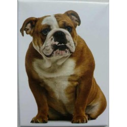 Magnet Bulldog