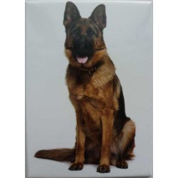 Magnet Berger Allemand 