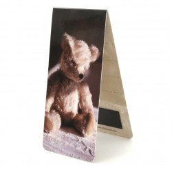 Ours Peluche
