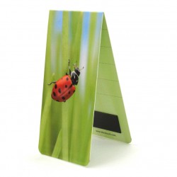 Coccinelle
