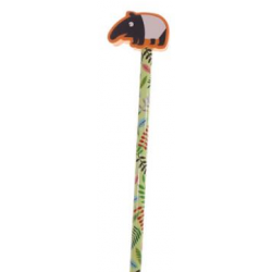 Crayon et Gomme Forêt Tropicale 1