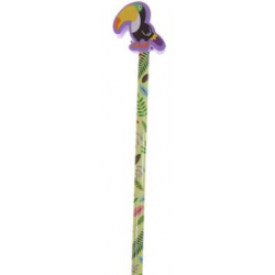 Crayon et Gomme Forêt Tropicale 3