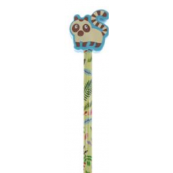 Crayon et Gomme Forêt Tropicale 4