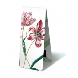Merian Three Tulips