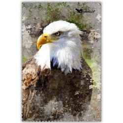 Chif' Fou' Net Aigle Tête