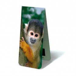 Singe écureuil