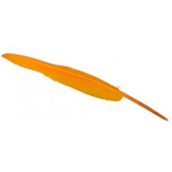 Plume Stylo Orange Claire