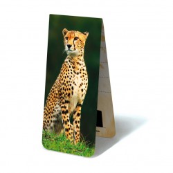 Guépard