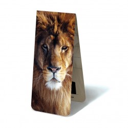 Lion Face
