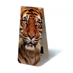 Tigre Face
