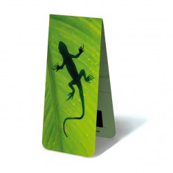 Gecko sur Feuille