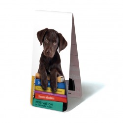 Chiot Noir sur Livres