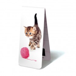 Chaton Pelote Rose