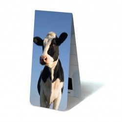 Vache