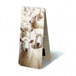 Moutons