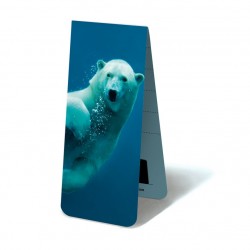 Ours Blanc Nageant
