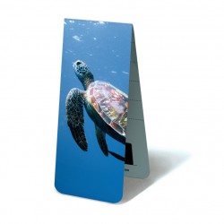 Tortue de Mer