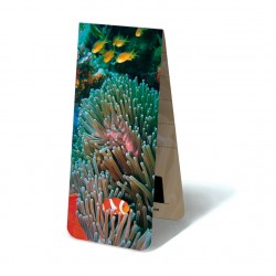 Poisson clown