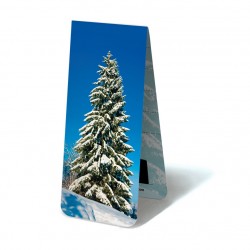 Sapin Neige