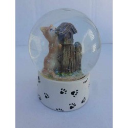 Boule de Neige Chat A