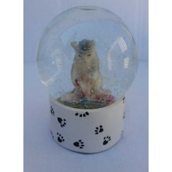 Boule de Neige Chat B