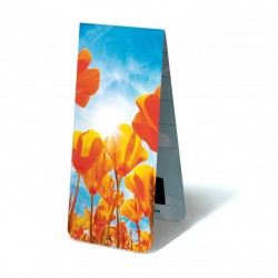Tulipes Soleil