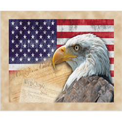 Tapis de Souris Aigle USA 1