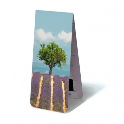 Lavande avec Arbre