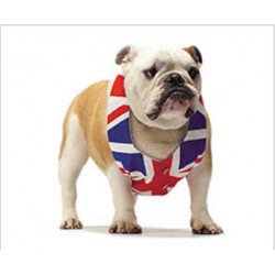 Tapis de Souris Bulldog GB