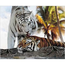 Tapis de Souris Tigre Blanc Calin