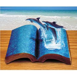 Tapis de Souris Dauphins Livre