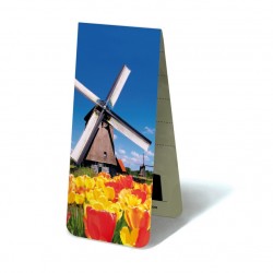 Moulin Tulipes