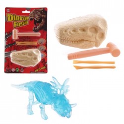 Kit de Fouille Crâne de Dinosaure