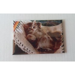 Magnet Chat Hamac 