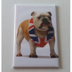 Magnet Bouledogue avec Drapeau Anglais