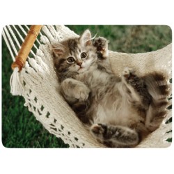 Chat Hamac