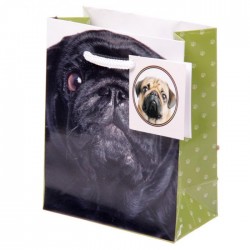 Sac Cadeau Carlin