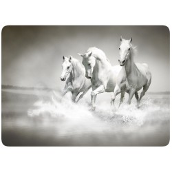 Chevaux Blancs