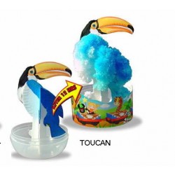Eclosion Toucan - Zoo Papier Magique