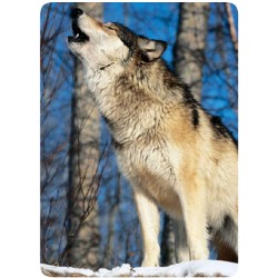 Loup