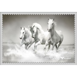 Chevaux Blancs