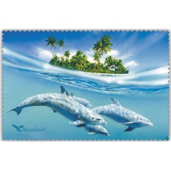 Dauphins îles