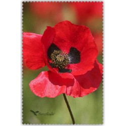 Coquelicot